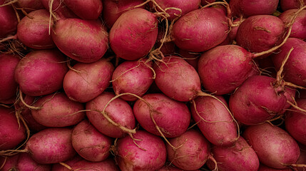 Bunch of radishes. Freshly harvested, purple colorful radish. Growing radish. Growing vegetables. Healthy food background. European radishes (Raphanus sativus). High quality photo.