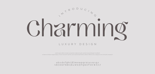 Luxury letter font and tech typeface. Minimal Alphabet set. Creative fonts Logo design for Business. Typography luxury classic lettering serif italic fonts decorative wedding vintage retro logos.
