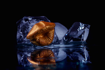 artificial female lips yellow color and ice on black background. close up
