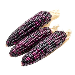 Purple corn isolated [Transparent Background PNG].