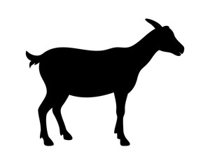 Obraz premium Goat Standing Silhouette Side View - Minimalist Livestock Vector Isolated on White for Farm Logos, Zodiac Art & Rural Branding