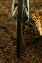 This image captures a closeup view of a mountain bike wheel, strategically placed on a rugged dirt trail, right next to a weathered wooden log, showcasing the beauty of outdoor adventure