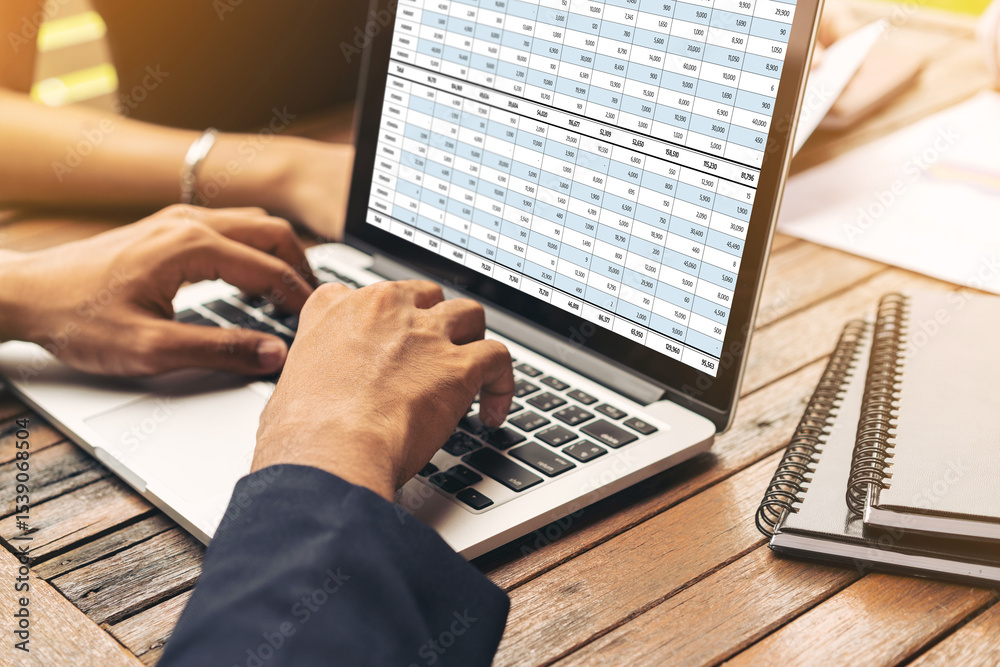 Poster accounting software on computer screen showing financial statement spreadsheets and account balance 