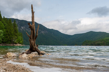 A serene alpine lake with crystal-clear turquoise water mirrors the snow-capped Zugspitze and pine-covered hills. Rowboats glide gently under a clear blue sky—pure alpine tranquility.