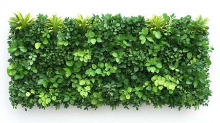 Obraz premium Rectangular wall panel covered densely with varied shades of green foliage