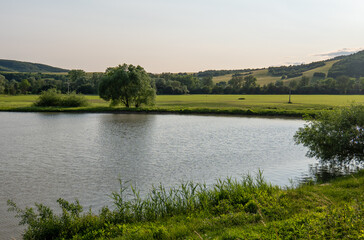 Calm countryside fish pond surrounded by grass, trees, and farming fields. Used for freshwater...