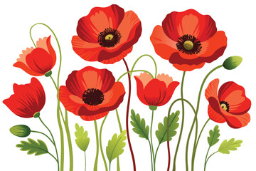 Vibrant Red Poppies A Stunning Floral Illustration