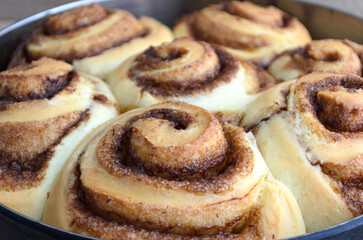 Rollos de canela clásicos recién salidos del horno. 