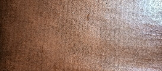 Aged Bronze Metal Surface with Subtle Patina