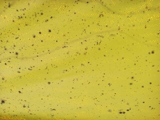 Abstract Yellow Surface with Scattered Dark Specks