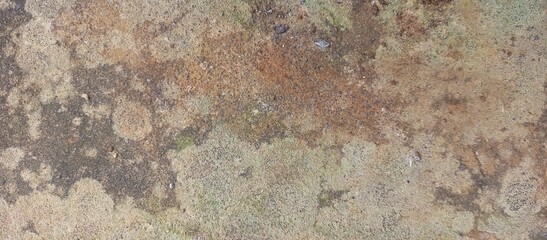 Earthy Weathered Surface with Rich Natural Patches
