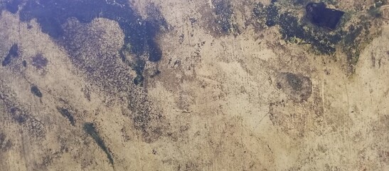 Heavily Stained and Moldy Dirty Grunge Texture