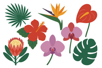 Tropical flowers such as orchid, strelitzia, hibiscus, protea, anthurium, palm, and monstera are often referred to as exotic