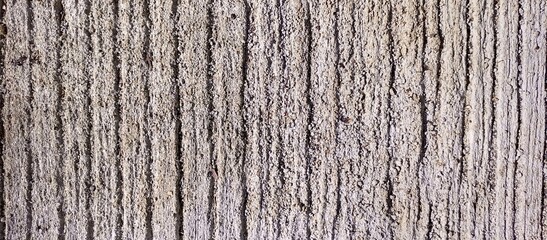 Obraz premium Rough Textured Tree Bark Surface Close up View