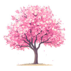 Pink blossom tree illustration on transparent background