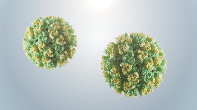 Eastern equine encephalitis virus. Zoonotic mosquito-borne virus affecting birds, horses, and humans, causing rare but severe neurological disease.