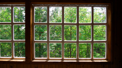 View of the green forest through a wooden window. A sunny summer day