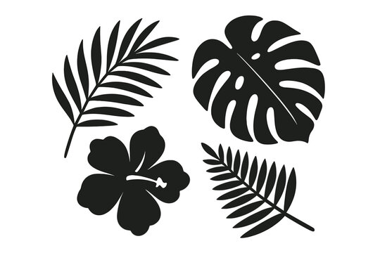 An abstract set composed of vector tropic leaves, flower silhouettes, and various jungle plants including monstera leaves and palm fronds