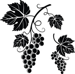 Obraz premium Black grapes vector illustration of a sweet fruit bunch on a vine with green leaves, perfect for food and wine designs