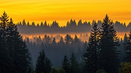 Obraz premium Serene Sunset Over Misty Forest Landscape with Dramatic Sky Colors