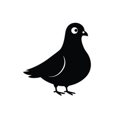 Obraz premium dove isolated on white background