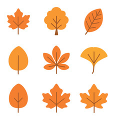 Autumn Leaves Icon Set. Flat icon set of autumn tree types and leaves: maple leaf, beech leaf, elm leaf,