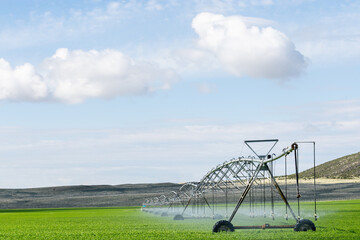 Agricultural sprayer irrigation sprinkler equipment system spraying a green grassy field of...