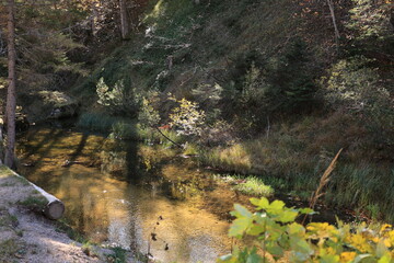 Schöner Herbsttag in den Wäldern von Mittenwald in den Bayerischen Alpen	