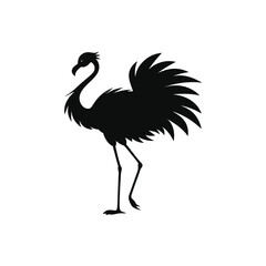 Obraz premium silhouette of a bird