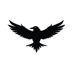 Obraz premium eagle vector illustration