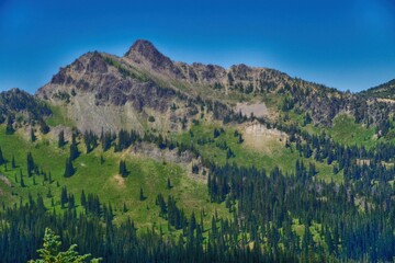 Forested mountains, hills and valleys