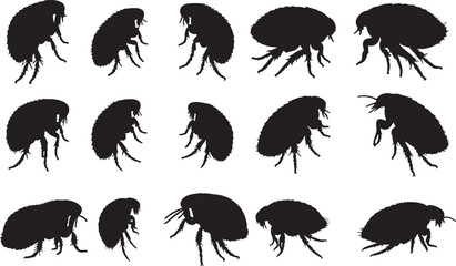 Flea Silhouettes