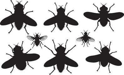 Fly Silhouettes