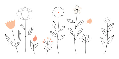 Hand-drawn floral elements in a simple, elegant style, perfect for summer vacation illustration set, showcasing delicate blooms.