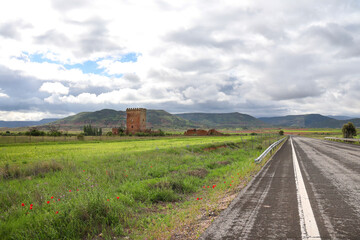 Fototapeta premium Lonely road next to Green meadow with Quercus Ilex trees under cloudy sky in Castilla La Mancha region