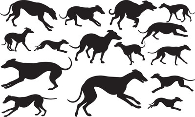 Greyhound Silhouettes