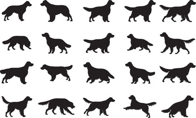 Irish Setter Silhouettes