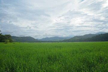 Fototapeta premium lake Angostura and surrounding landscape in Costa Rica