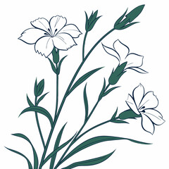 seamless floral pattern with white dianthus flowers