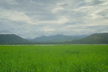 Fototapeta premium lake Angostura and surrounding landscape in Costa Rica