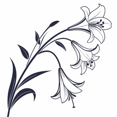 vector illustration of easter lilies
