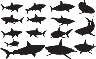 Megalodon Silhouettes