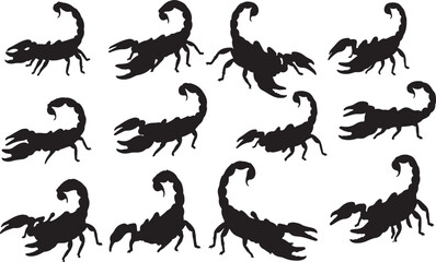 Scorpion Silhouettes