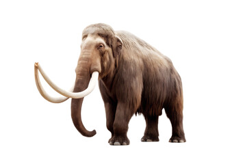 Obraz premium Woolly mammoth, isolated on a white background, ai generated png