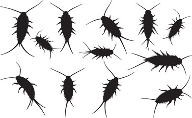 Silverfish Silhouettes