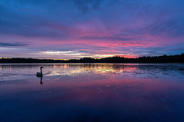 Fototapeta premium Summer sunset on the lake after the rain