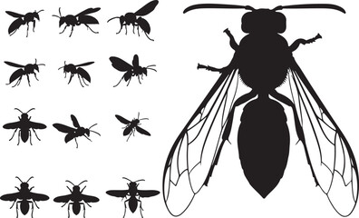 Wasp Silhouettes