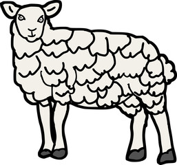 vector illustration of sheep