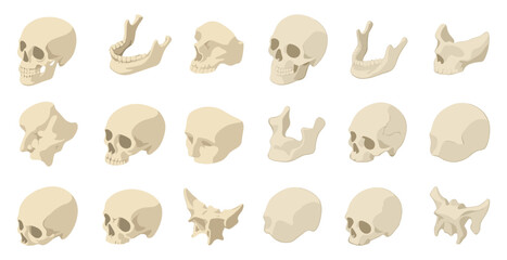 Obraz premium Anatomy skull 3d icons set – realistic, detailed, human structure symbols