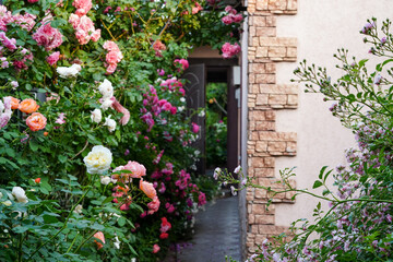 garden pathway is surrounded by lush blooming roses , creating a romantic atmosphere next to a stone-accented house wall